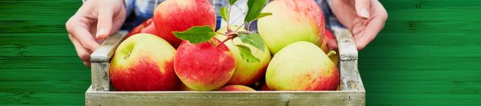 7 meilleurs endroits pour cueillir des pommes