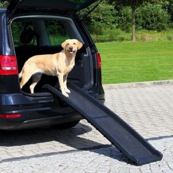 rampe-d-acces-voiture-pour-chien-
